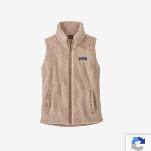 Nice, trendy Patagonia vest